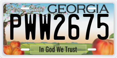 GA license plate PWW2675