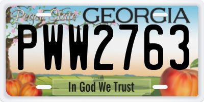 GA license plate PWW2763