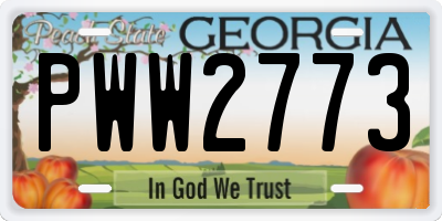 GA license plate PWW2773