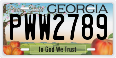 GA license plate PWW2789