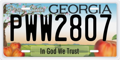 GA license plate PWW2807