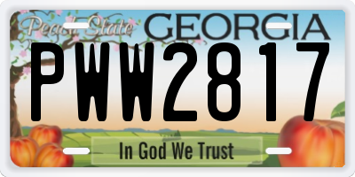 GA license plate PWW2817