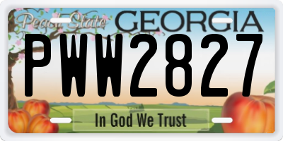 GA license plate PWW2827