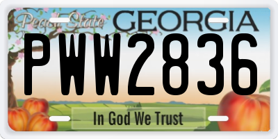 GA license plate PWW2836