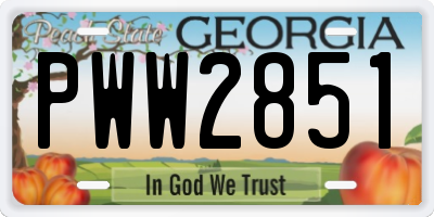 GA license plate PWW2851