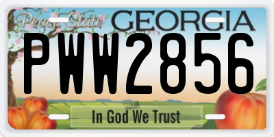 GA license plate PWW2856