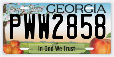 GA license plate PWW2858