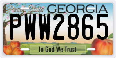 GA license plate PWW2865