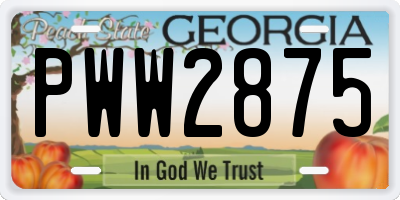 GA license plate PWW2875