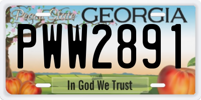 GA license plate PWW2891