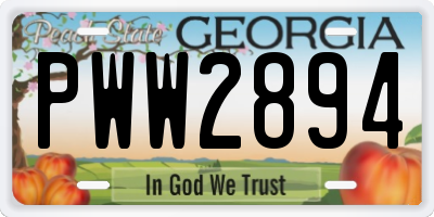 GA license plate PWW2894