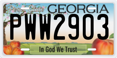 GA license plate PWW2903