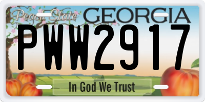 GA license plate PWW2917