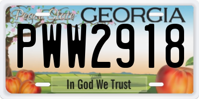 GA license plate PWW2918