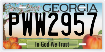 GA license plate PWW2957