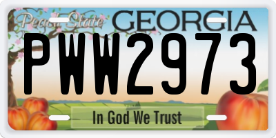 GA license plate PWW2973