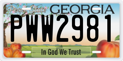 GA license plate PWW2981