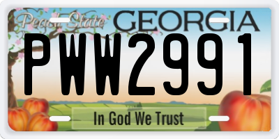 GA license plate PWW2991