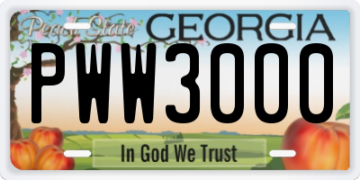 GA license plate PWW3000