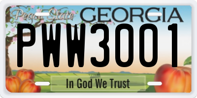 GA license plate PWW3001