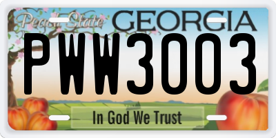 GA license plate PWW3003