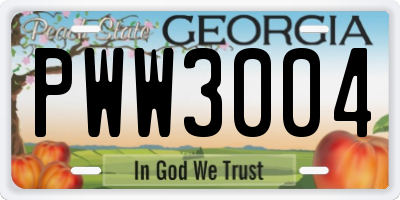GA license plate PWW3004