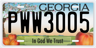 GA license plate PWW3005