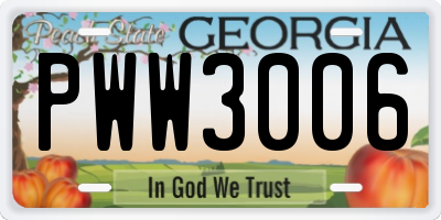 GA license plate PWW3006