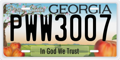 GA license plate PWW3007