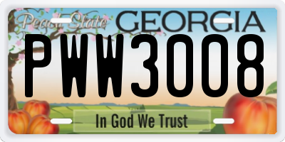 GA license plate PWW3008