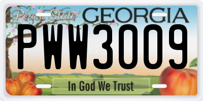 GA license plate PWW3009