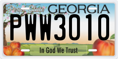 GA license plate PWW3010