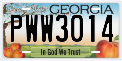 GA license plate PWW3014