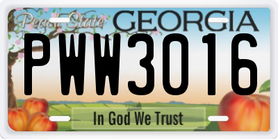 GA license plate PWW3016