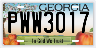 GA license plate PWW3017