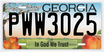 GA license plate PWW3025