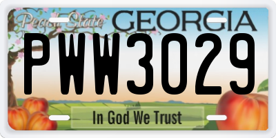 GA license plate PWW3029