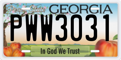 GA license plate PWW3031