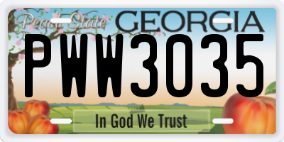 GA license plate PWW3035