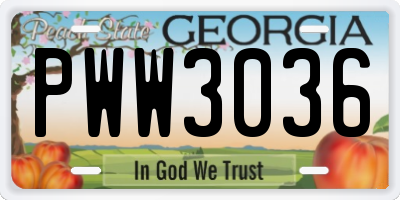 GA license plate PWW3036