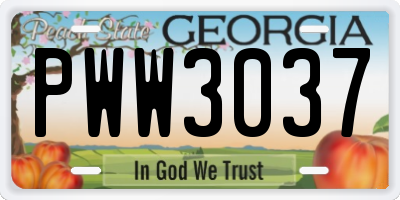 GA license plate PWW3037