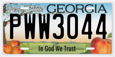 GA license plate PWW3044