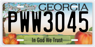 GA license plate PWW3045