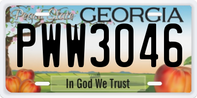 GA license plate PWW3046