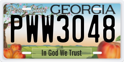 GA license plate PWW3048