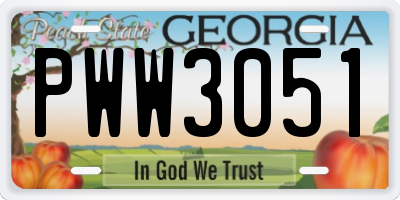 GA license plate PWW3051