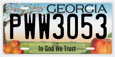 GA license plate PWW3053