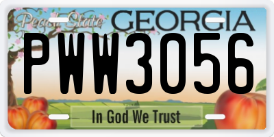 GA license plate PWW3056
