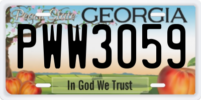 GA license plate PWW3059