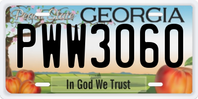 GA license plate PWW3060